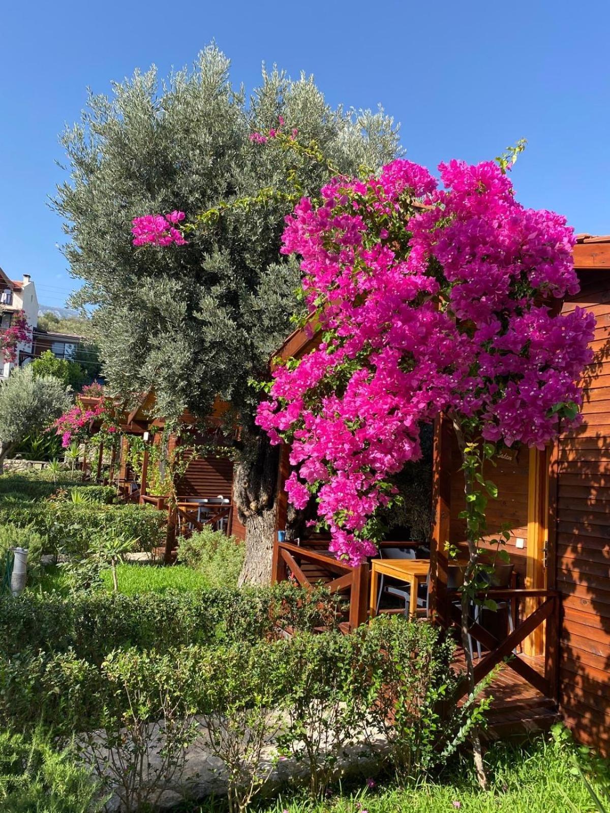 Suzi'Nin Bahcesi Bungalov Evler ดัตชา ภายนอก รูปภาพ